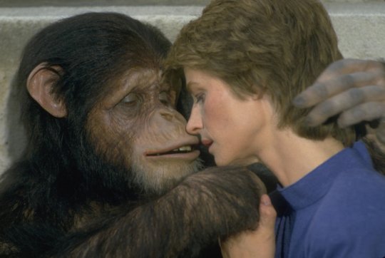 რით დასრულდა ქალის და მაიმუნის შეჯვარების ექსპერიმენტი სოხუმში